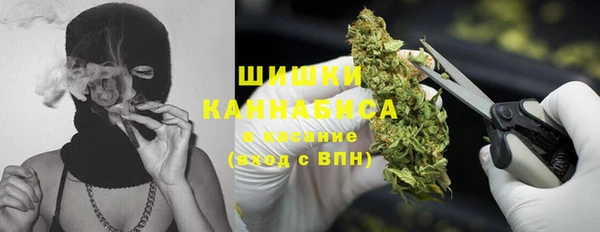 спайс Алексин