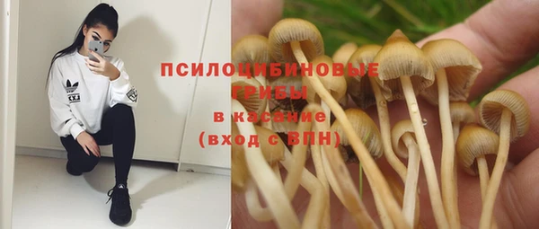 прущая мука Алексеевка