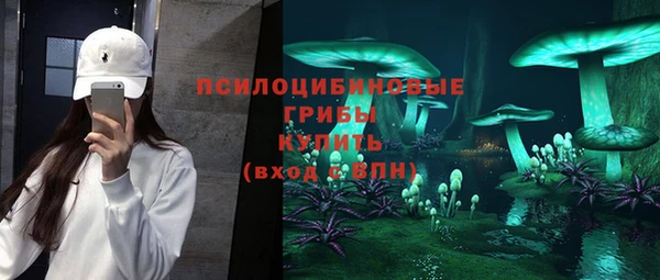 спайс Алексин