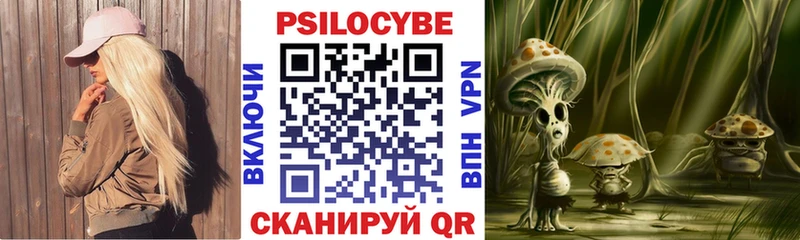 Псилоцибиновые грибы Psilocybe  Волжский 